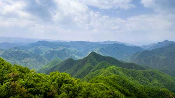 恨南越与君同袍