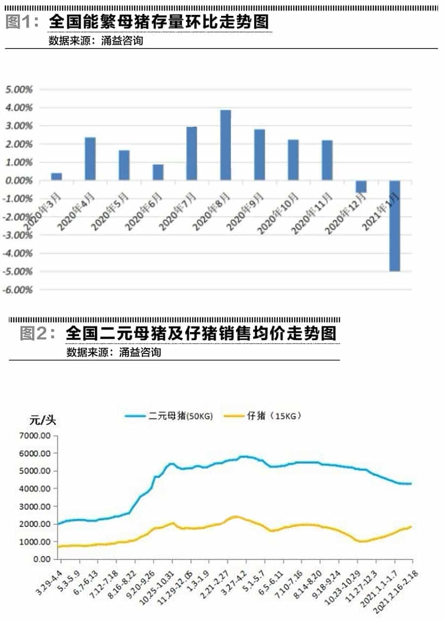 剑心道谭