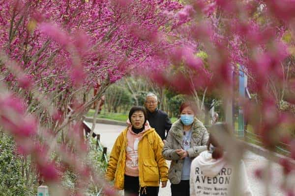 霸道君王宠妃请温柔