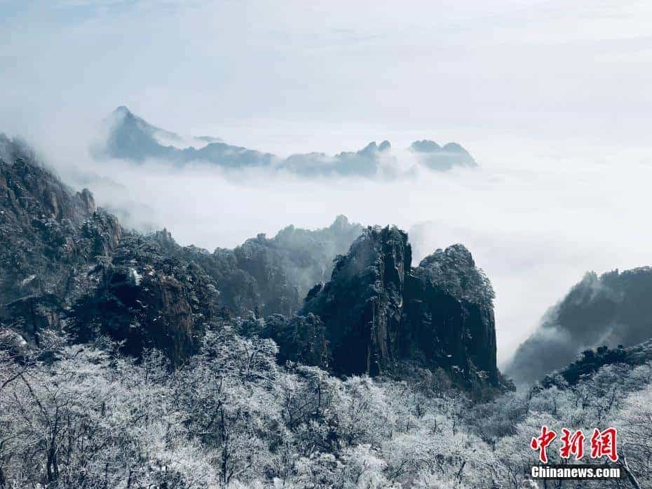 风雨尘缘