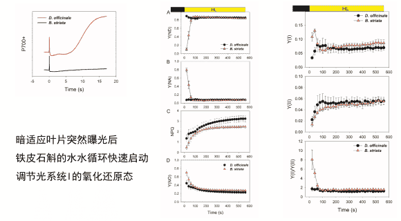 邪王的可爱小萌妃